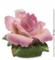 CMS-16/ 7 - "" (Pavone)